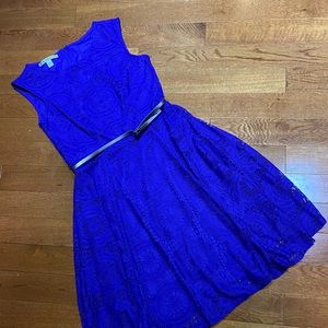 Maggy London Cobalt Blue Lace Dress (NWOT)